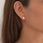 Ohrstecker roségold Stern