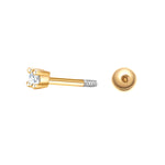 Piercing klein gold Zirkonia