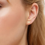 Ohrstecker Schmetterling gold