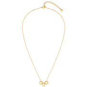Kette mit Stern-Anhänger gold