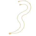 Kette MUSCHEL gelbgold