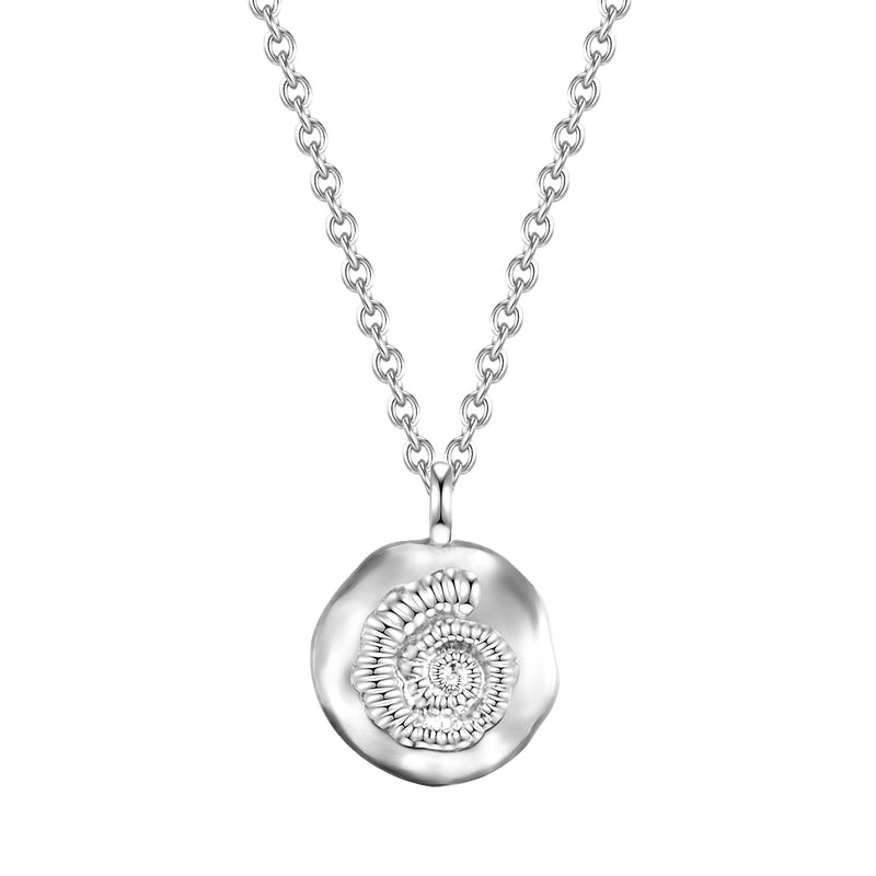 Halskette mit Muschel silber